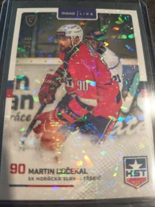 Martin Dočekal 2/6 Třebíč 25/26