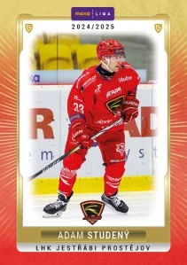 Adam Studený  #29