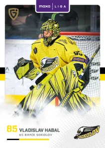 Vladislav Habal Canvas 