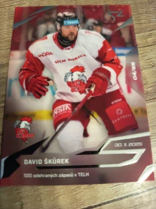 David Škůrek Live karta 25/26