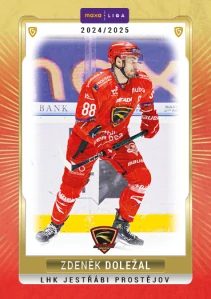 Zdeněk Doležal  #34
