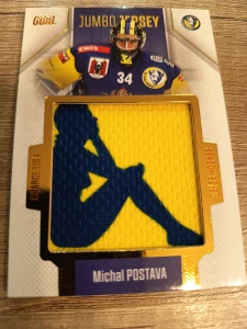 Michal Postava Jumbo jersey 63/77