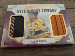 Lukáš Anděl Stick and jersey 20/20