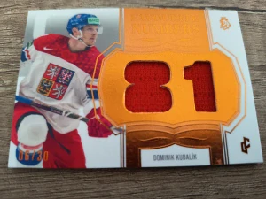 Dominik Kubalík Favourite numbers 06/30
