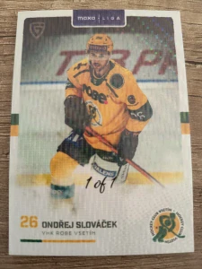 Ondřej Slováček 1of1