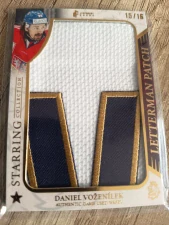 Daniel Voženílek Letterman patch 15/16