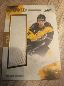 David Kofroň Stick  20/20