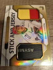 Zdeněk Doležal Stick and Jersey 03/20