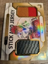Petr Hašek Stick and Jersey 19/20