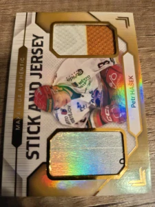 Petr Hašek Stick and Jersey 16/20