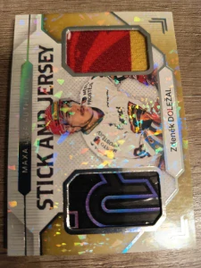 Zdeněk Doležal Stick and Jersey 3/5