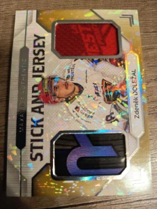 Zdeněk Doležal Stick and Jersey 2/5