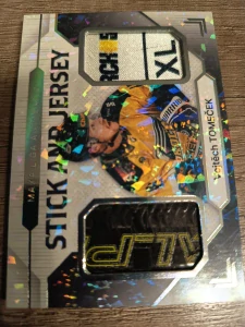 Vojtěch Tomeček Stick and Jersey 3/5