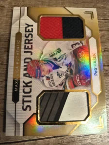 Petr Hašek Stick and Jersey 03/20