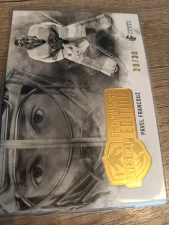 Pavel Francouz limit 28/30