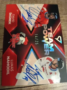 David Škůrek Lukáš Nahodil team power signature 14/25