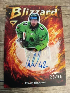 Filip Suchý Blizard auto 23/55