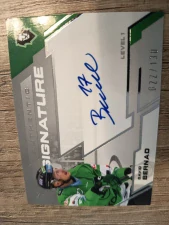 David Bernad Authentic signature level 1 22/130