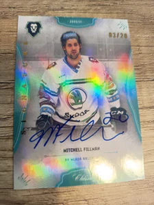 Mitchell  Fillman signature 03/20