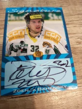 Zdeněk Bahenský signuture gold