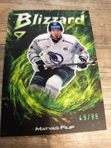 Matyáš Filip Blizzard Forest Green 49/99
