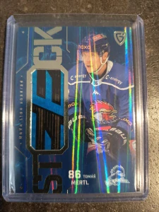 Tomáš Mertl Stick 09/10 Tábor 25/26
