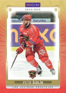 Petr Šidlík #5