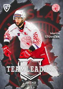 Martin Šťovíček Teamleaders